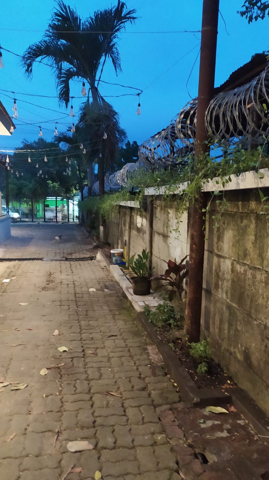 desain taman