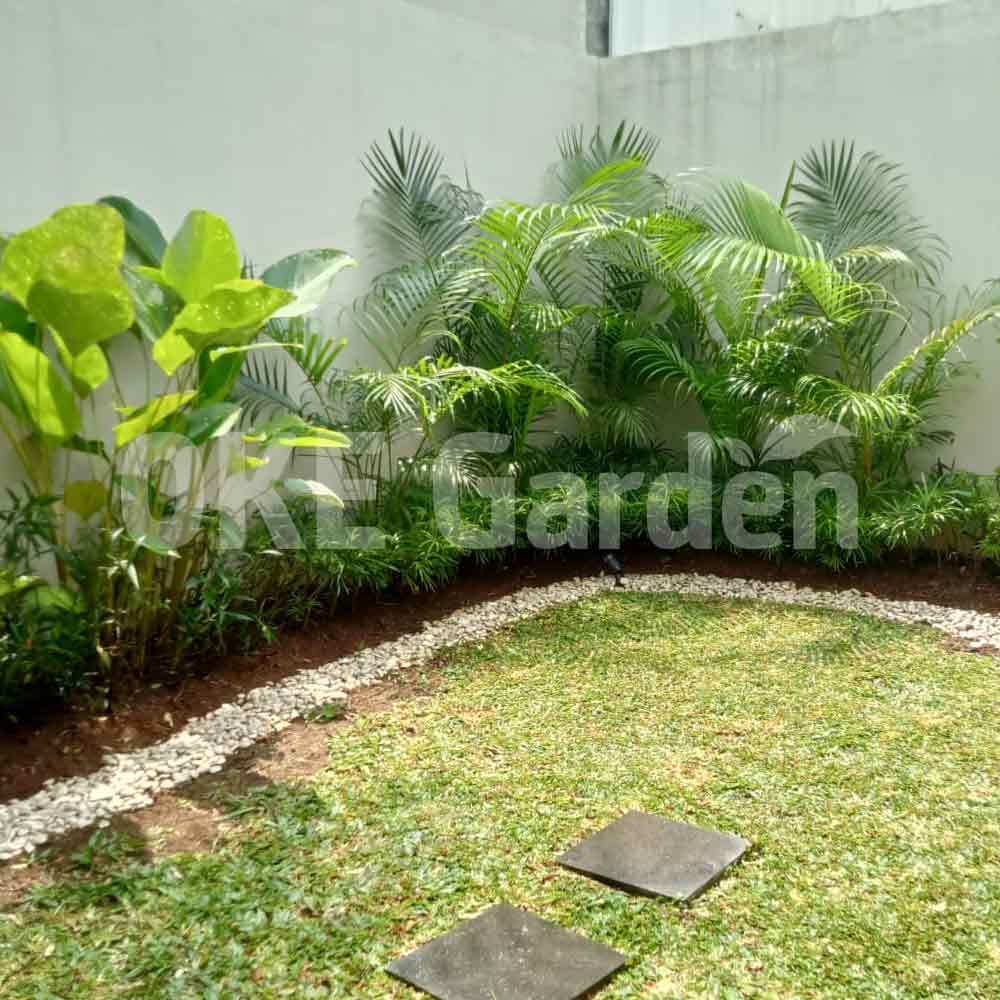 desain taman