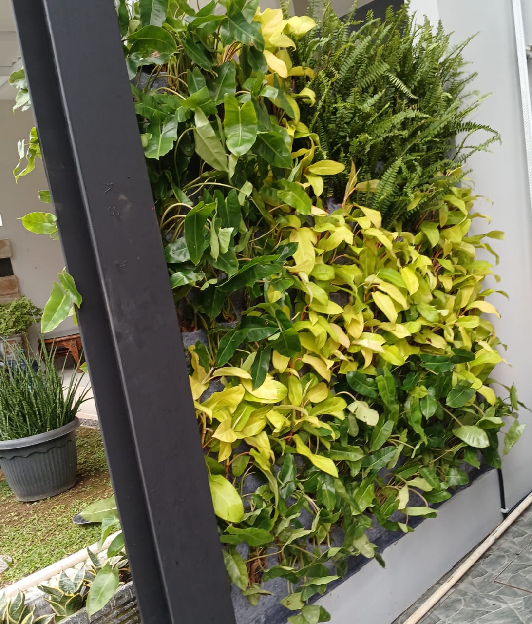 desain taman