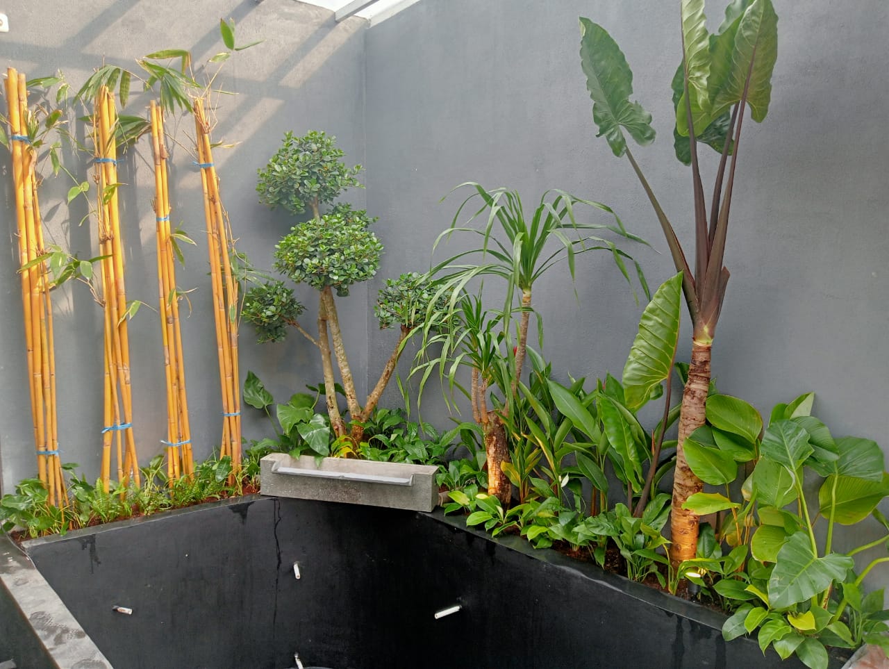 desain taman