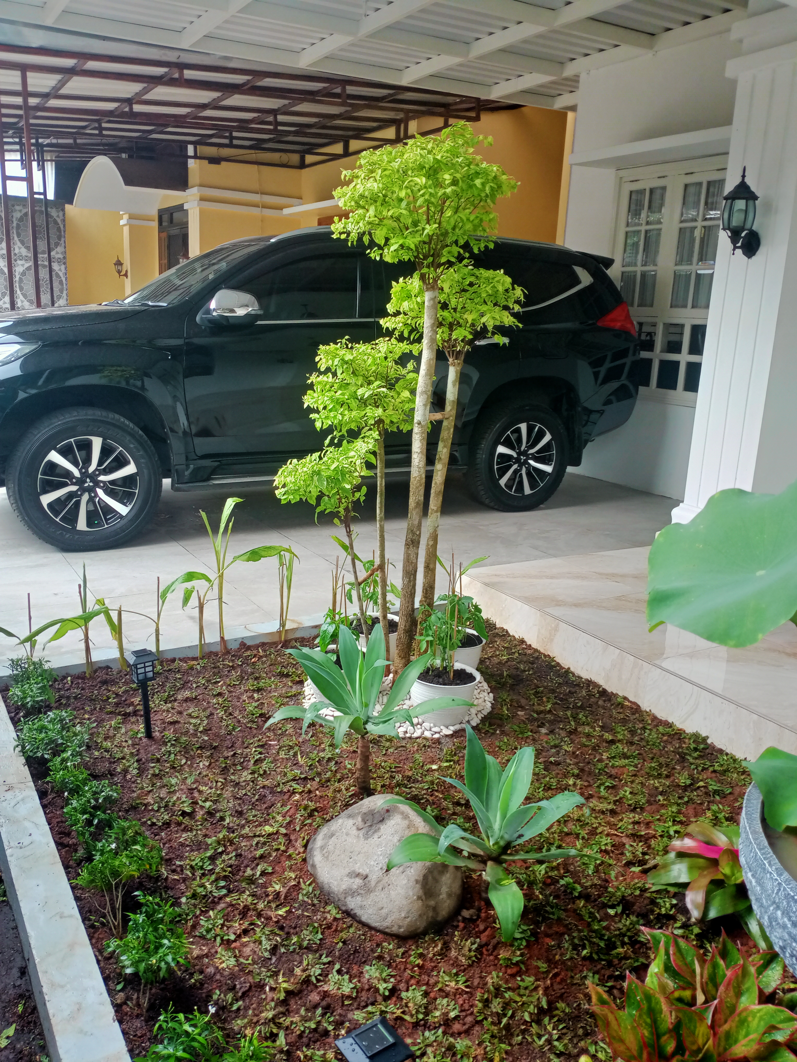 desain taman