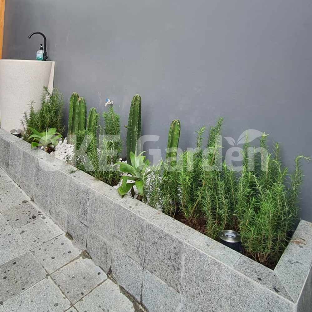 desain taman