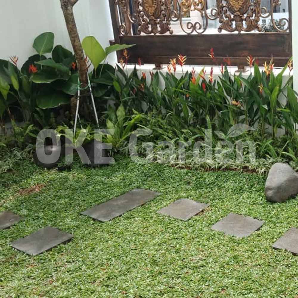 desain taman