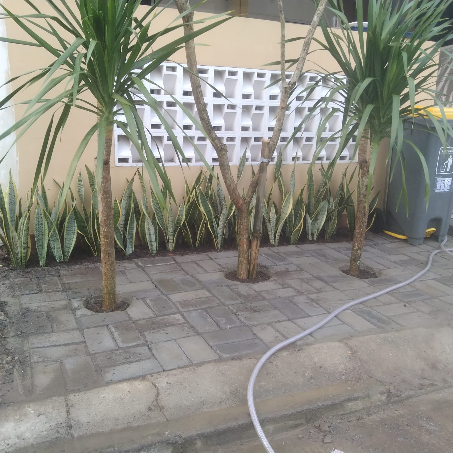 Minimalis