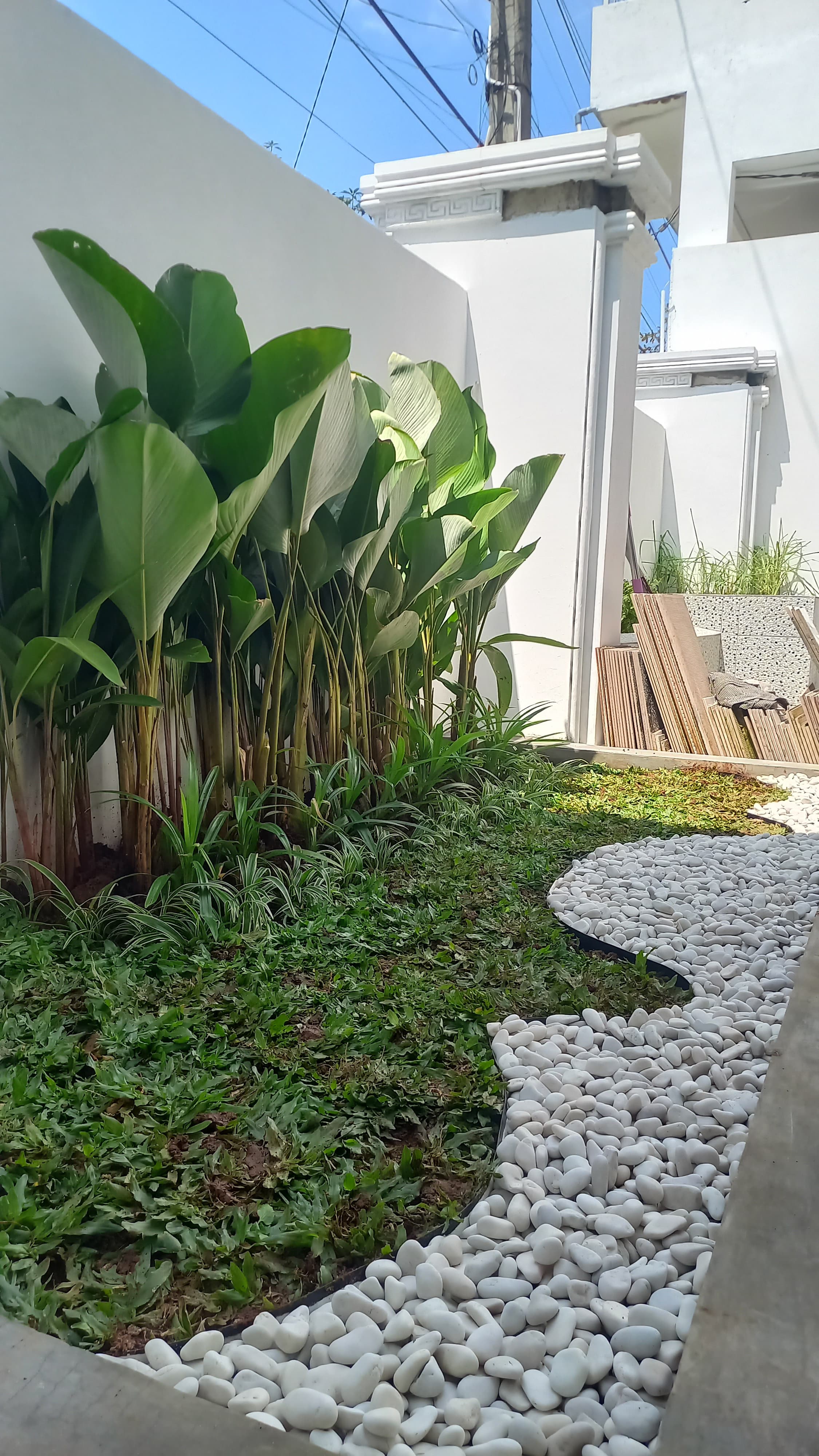 desain taman