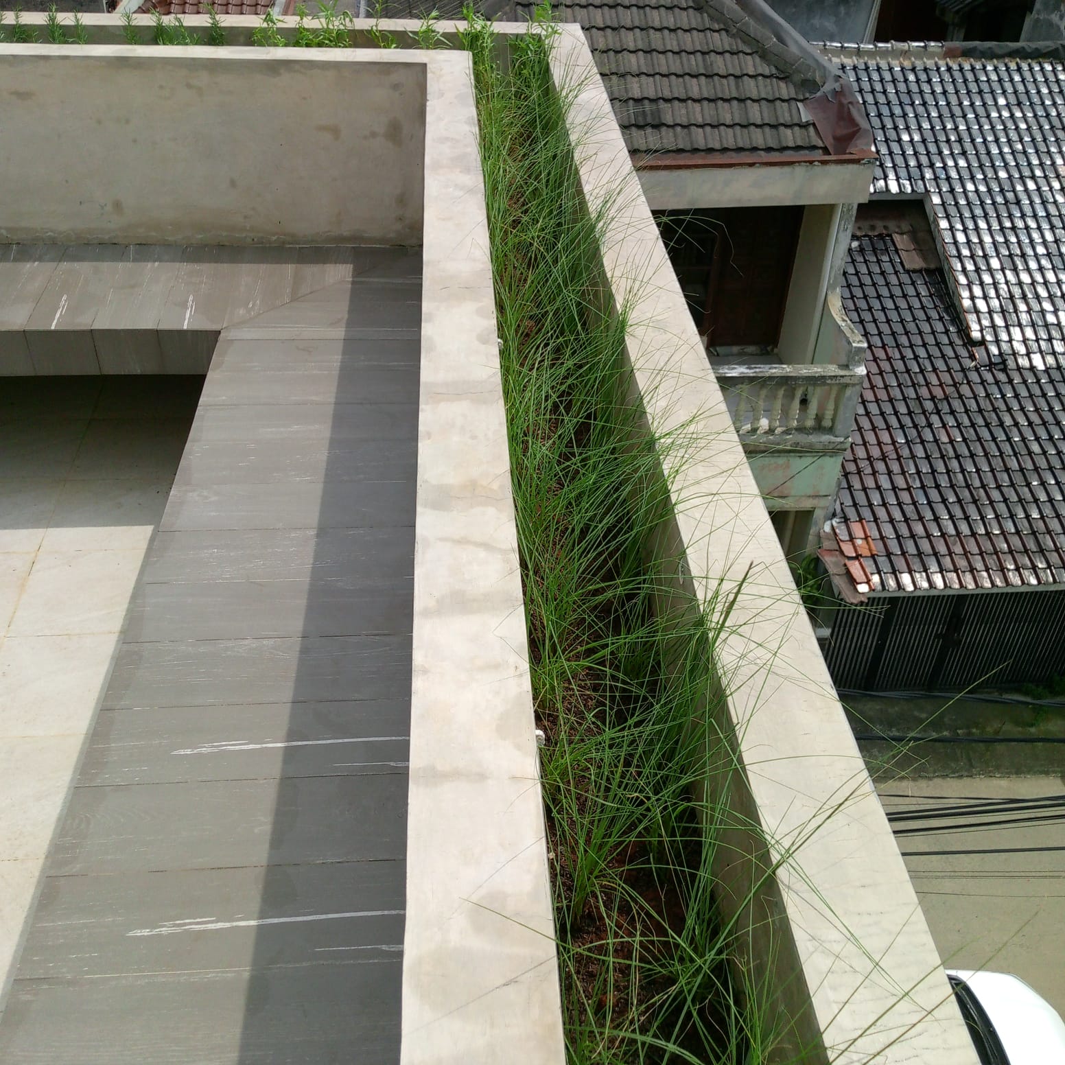 desain taman