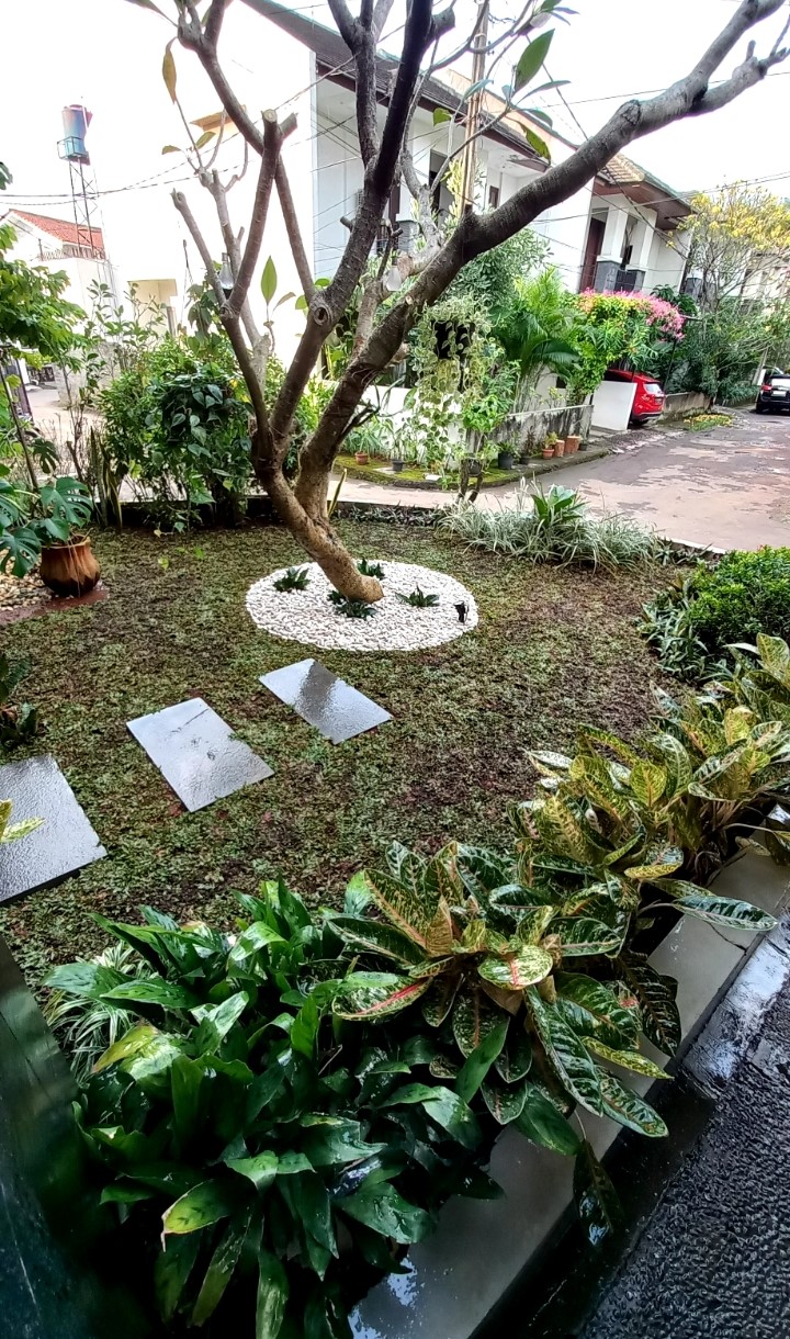 desain taman