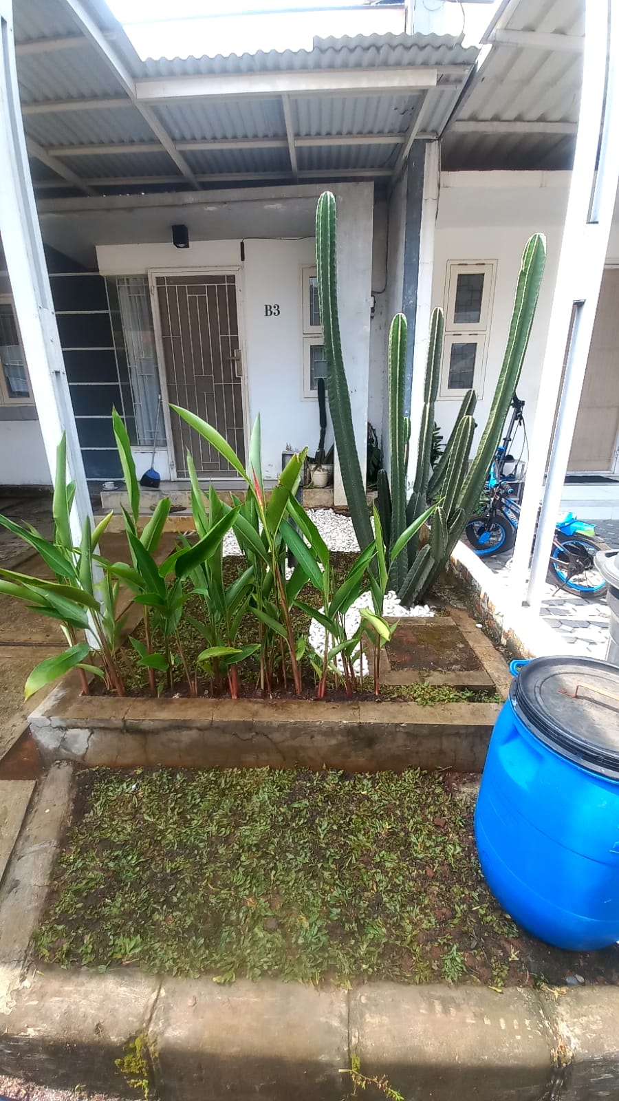 desain taman