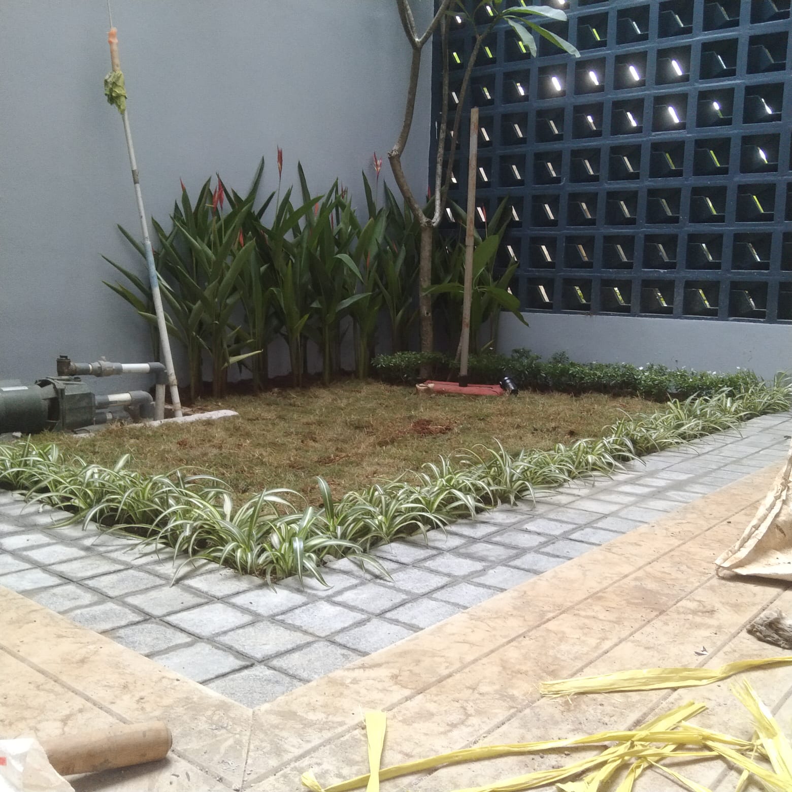 desain taman