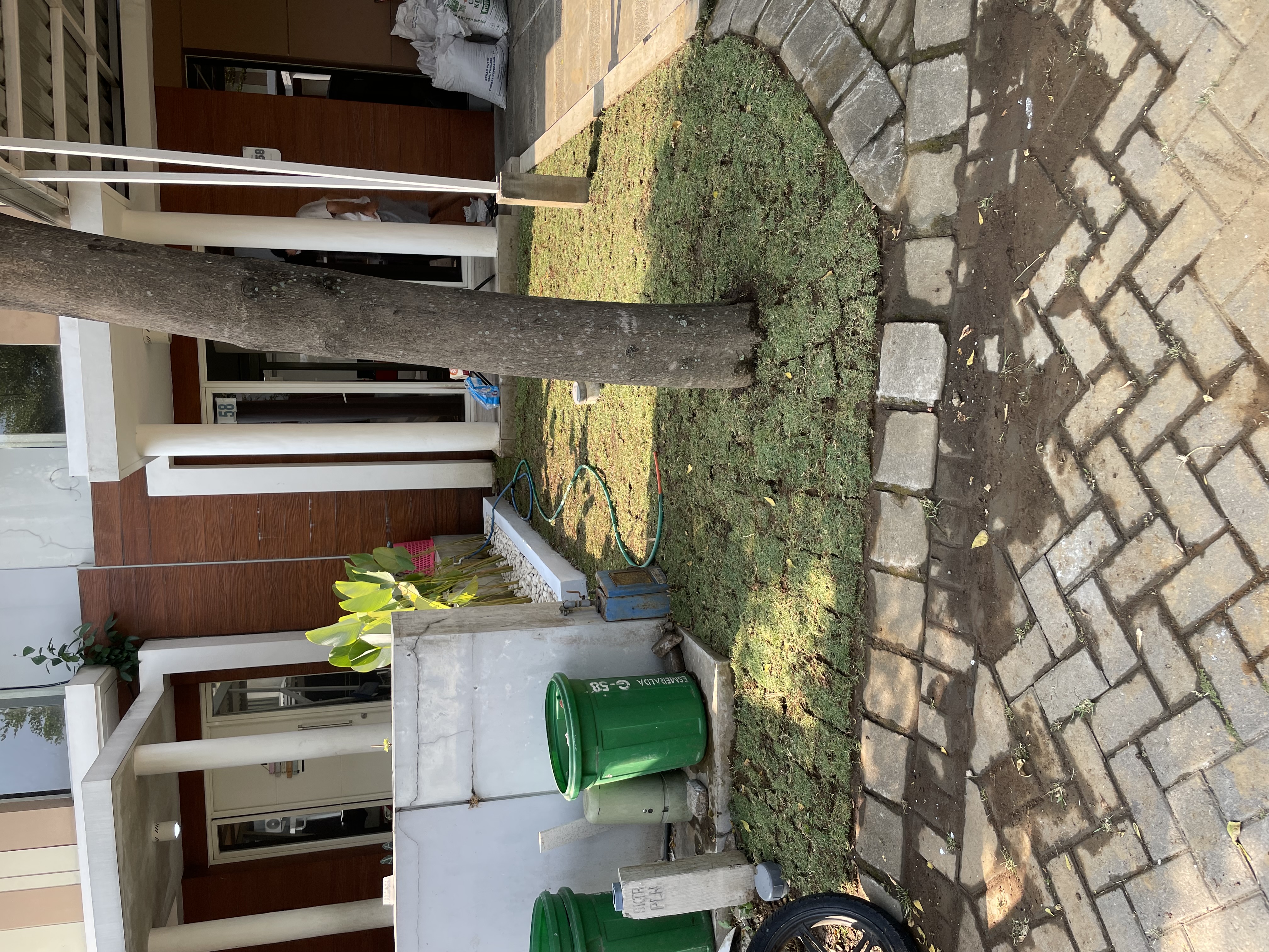 desain taman