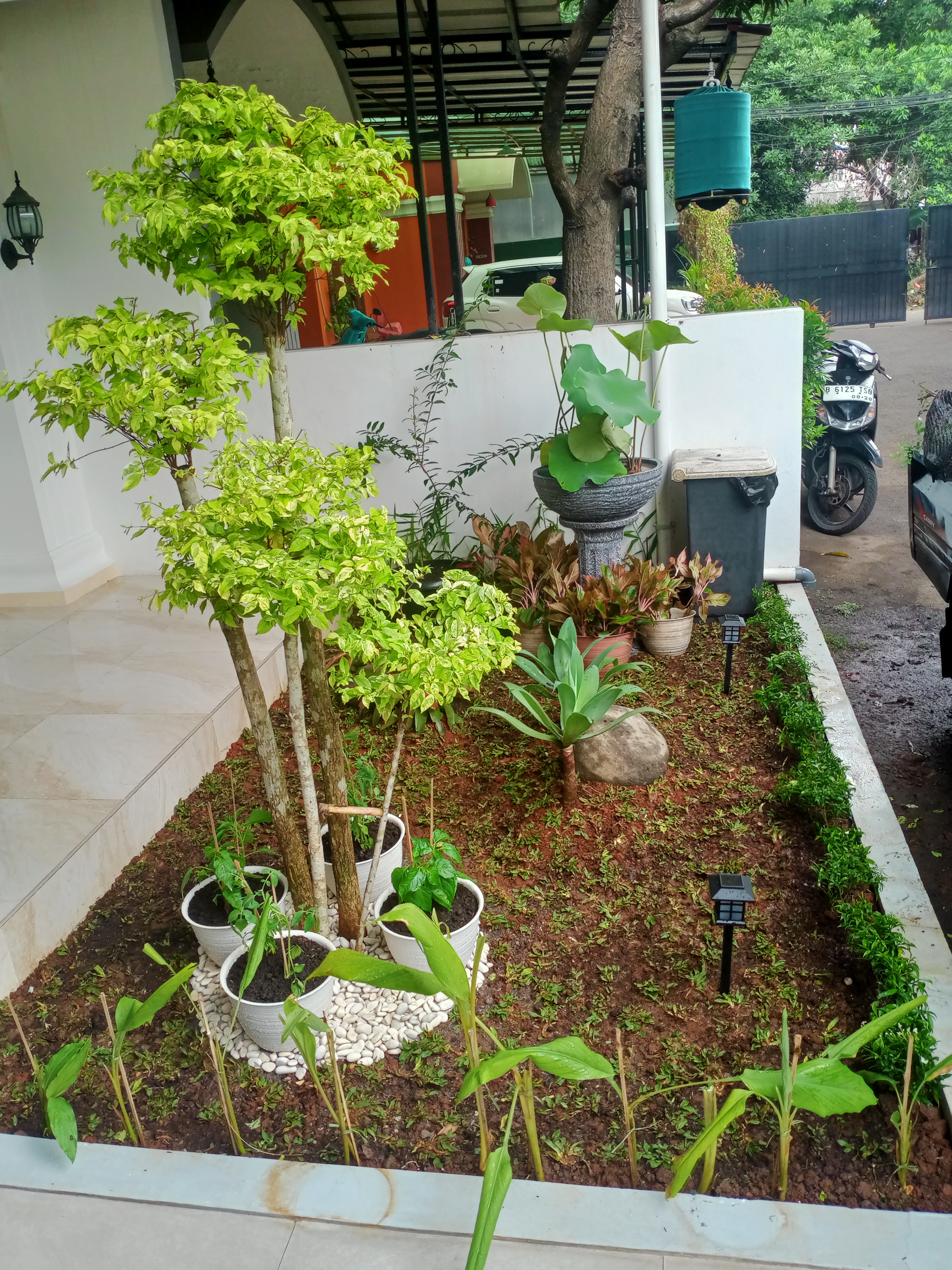 Minimalis