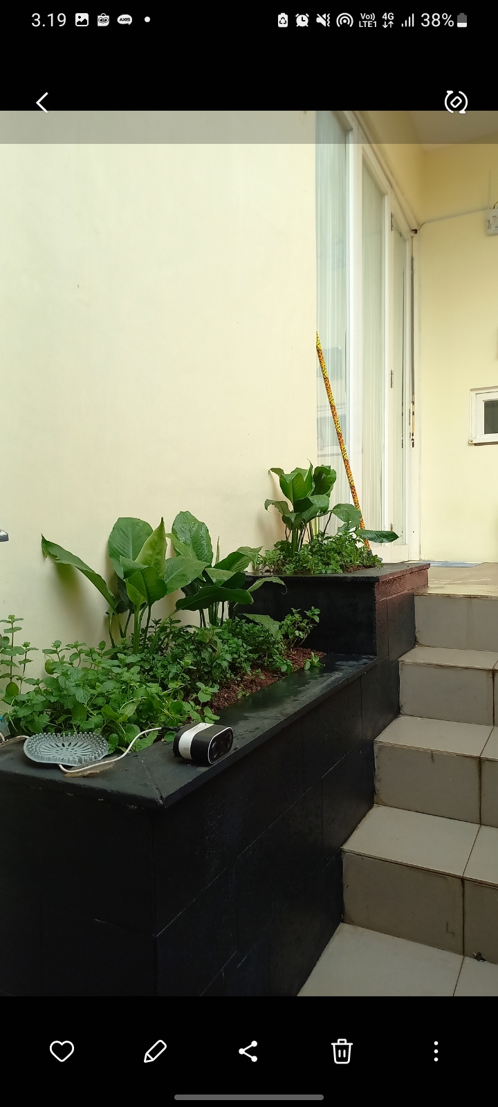 desain taman
