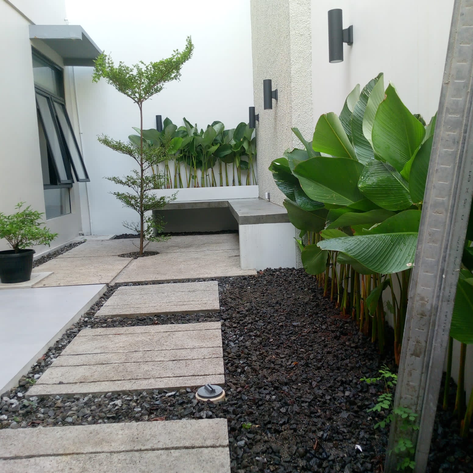 desain taman