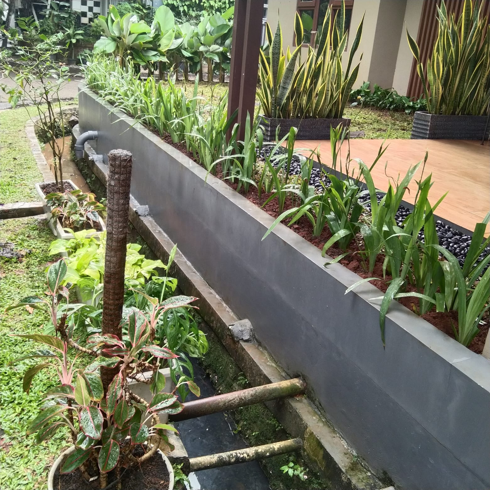 desain taman