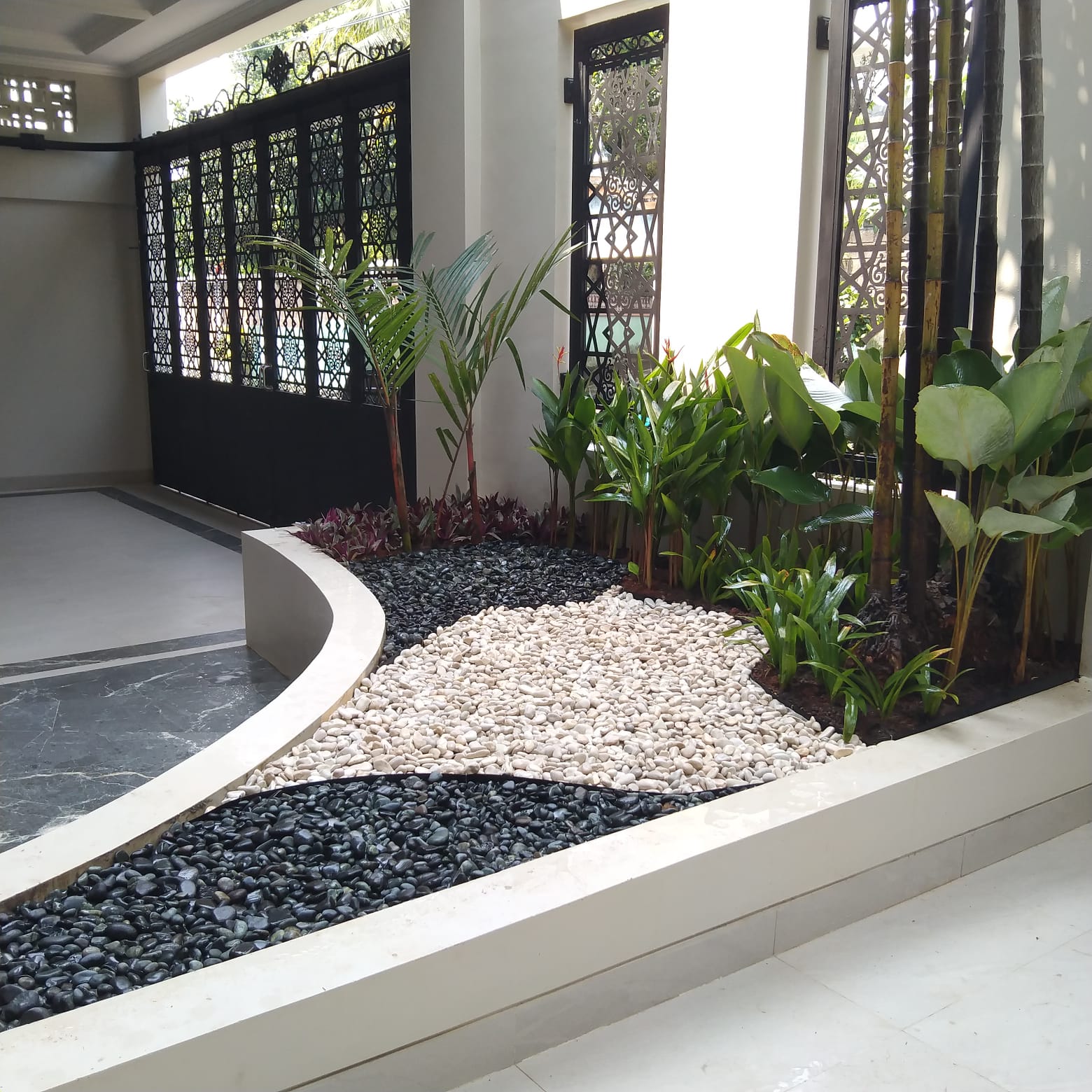 Tropis