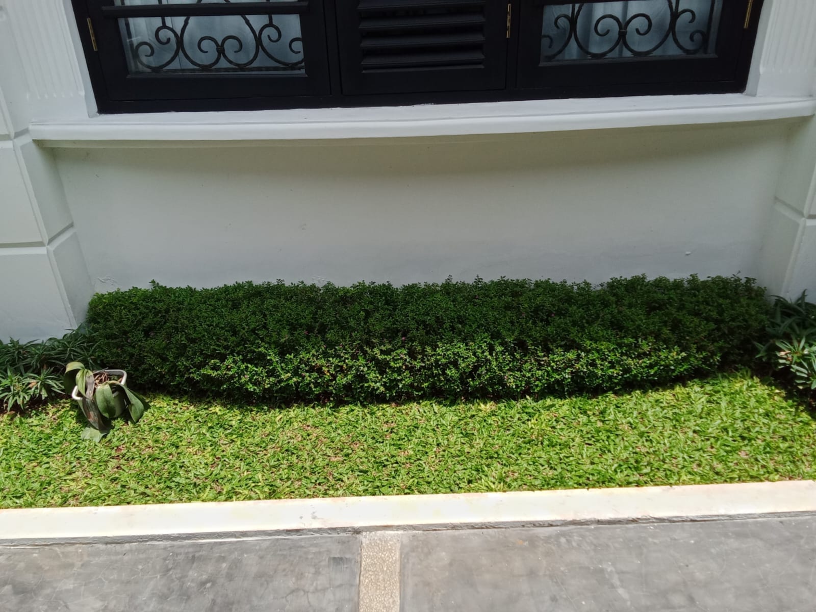 desain taman