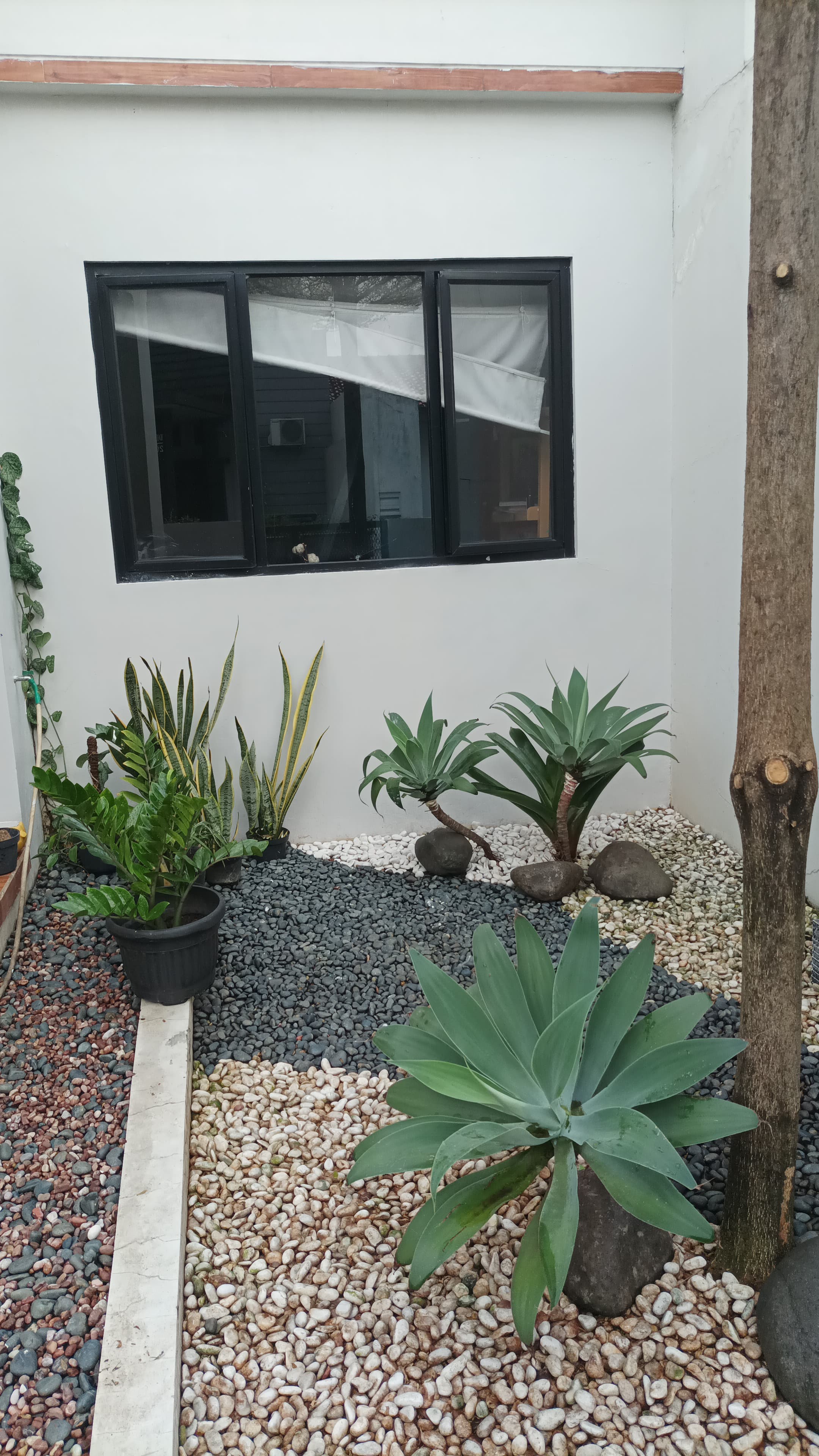 desain taman