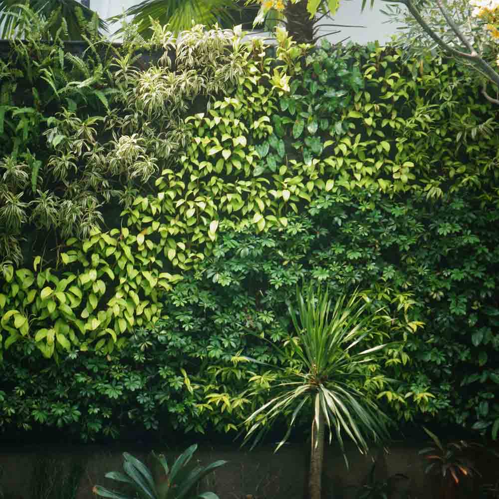 Vertical Garden penyiraman otomatis+ Tenaga Kerja+ Transport (<9m2)