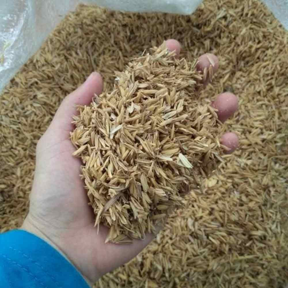 Sekam