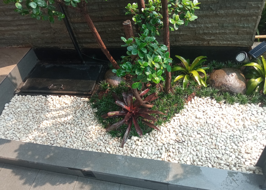desain taman