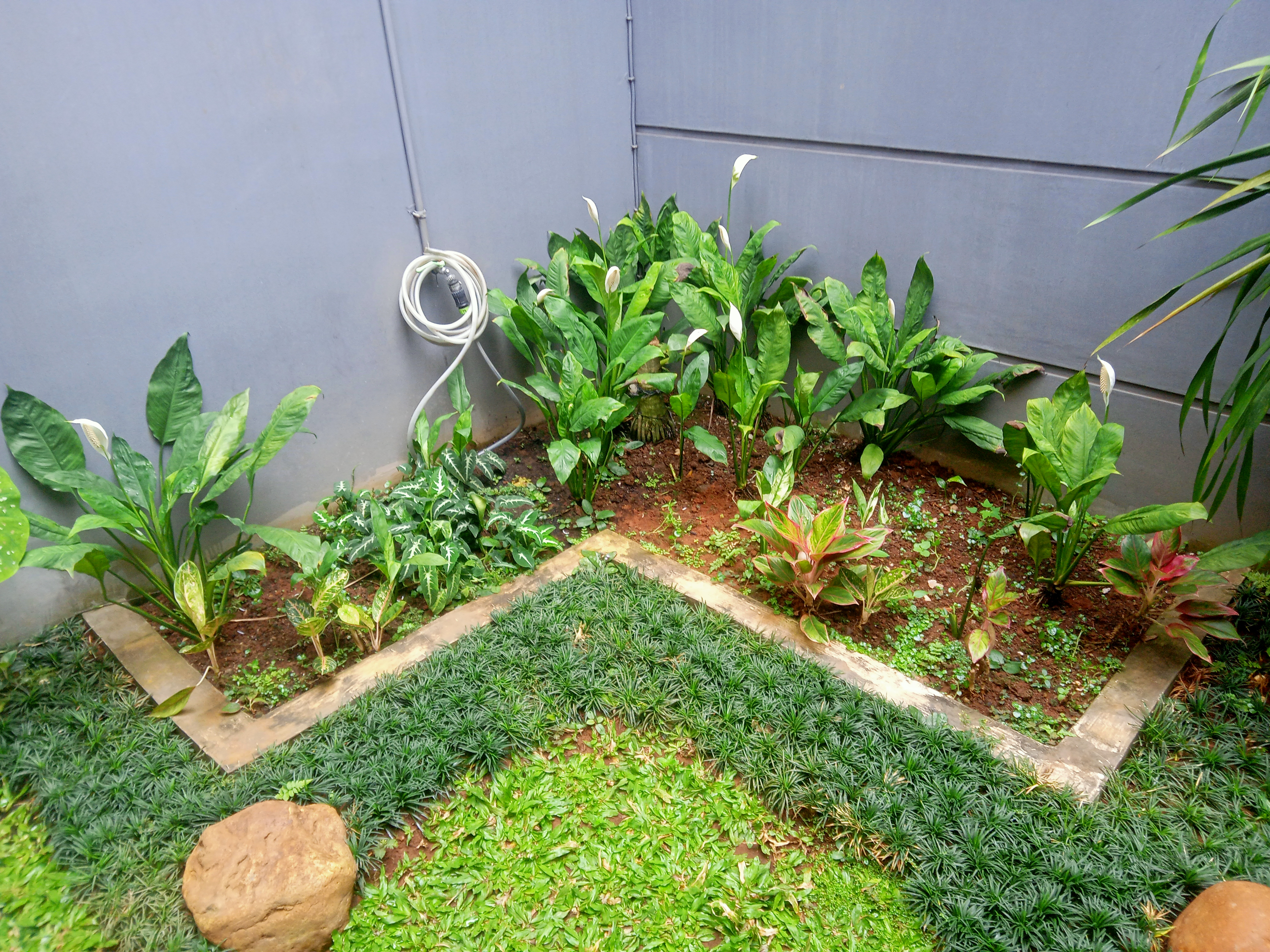 desain taman