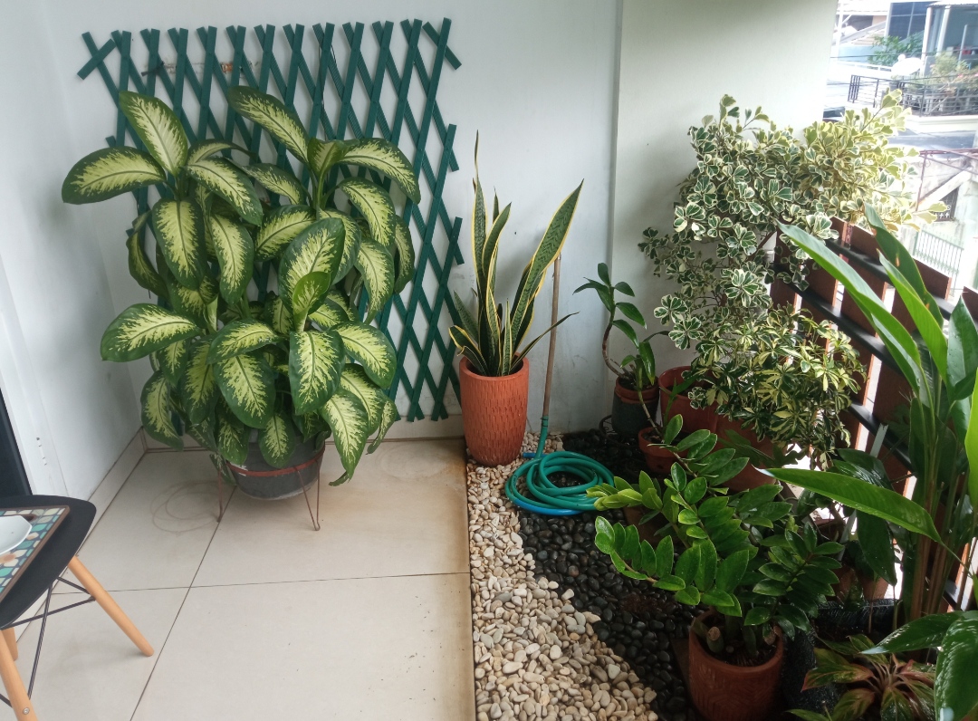 desain taman
