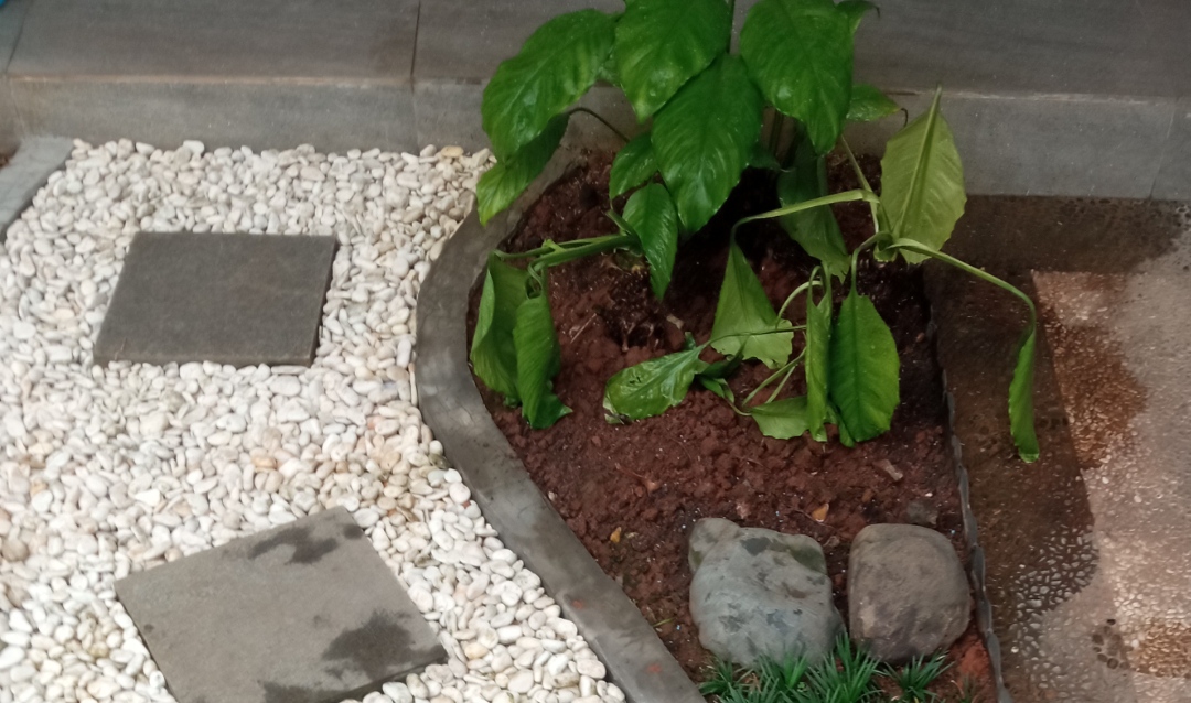 desain taman