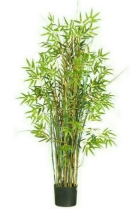 Bambu klisik